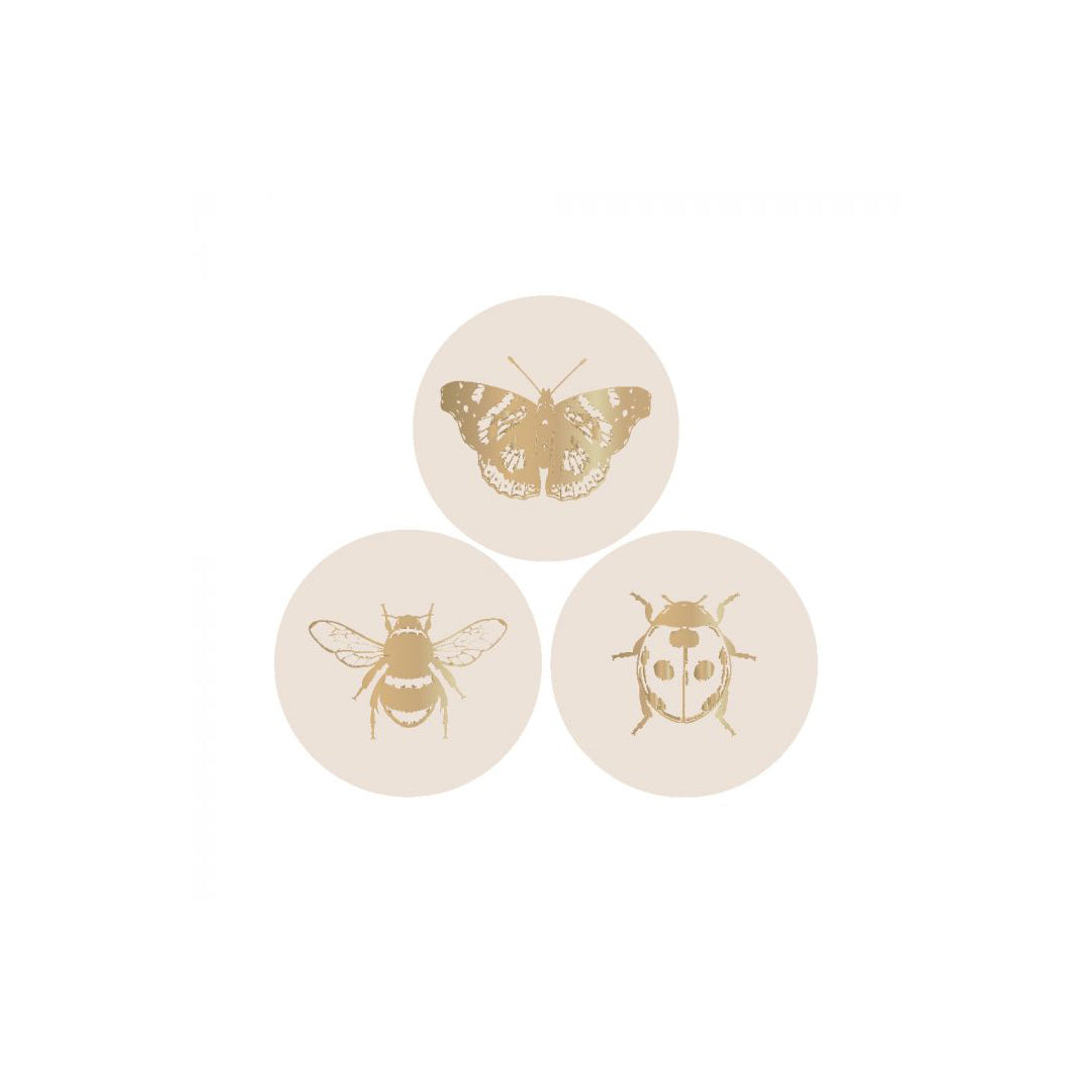 Sticker Insect