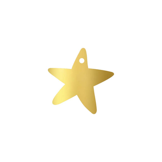 Cadeaulabel  Kerst - Ster 2 stuks